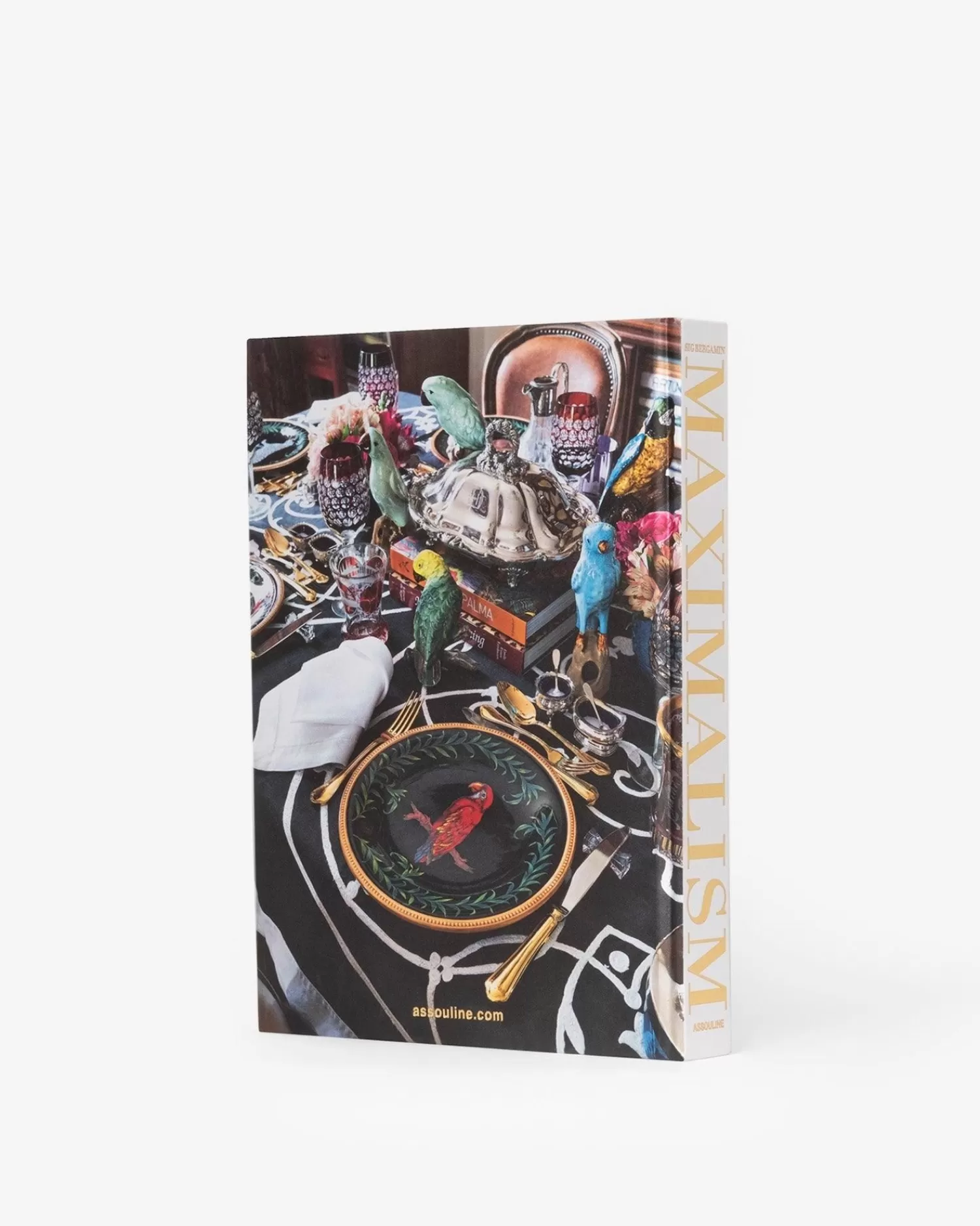 Maximalisme Door Sig Bergamin-Assouline Best